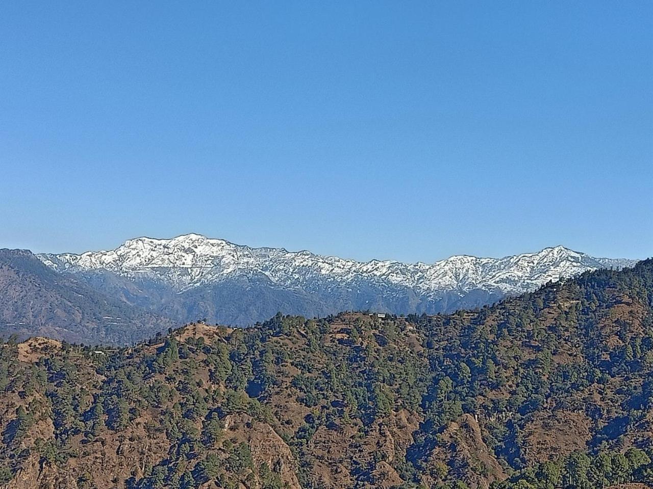 Shiva Valley Resort Kokhliyal Gaon Exterior foto